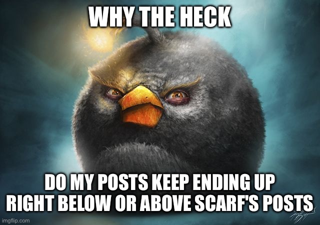 Not complaining lol | WHY THE HECK; DO MY POSTS KEEP ENDING UP RIGHT BELOW OR ABOVE SCARF'S POSTS | image tagged in angry birds bomb | made w/ Imgflip meme maker