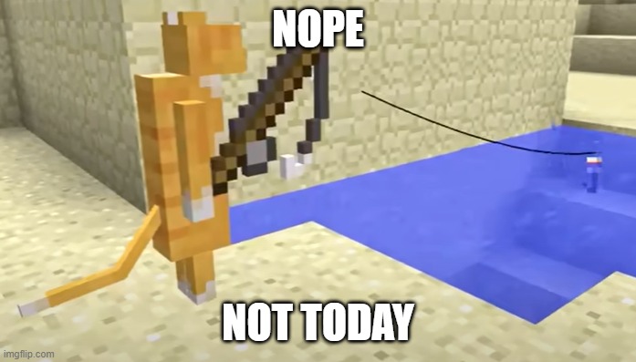 nope, not today | NOPE; NOT TODAY | image tagged in fishing cat,not today,minecraft memes,cats | made w/ Imgflip meme maker