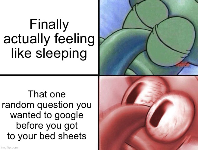 sleeping Squidward | Finally actually feeling like sleeping; That one random question you wanted to google before you got to your bed sheets | image tagged in sleeping squidward | made w/ Imgflip meme maker