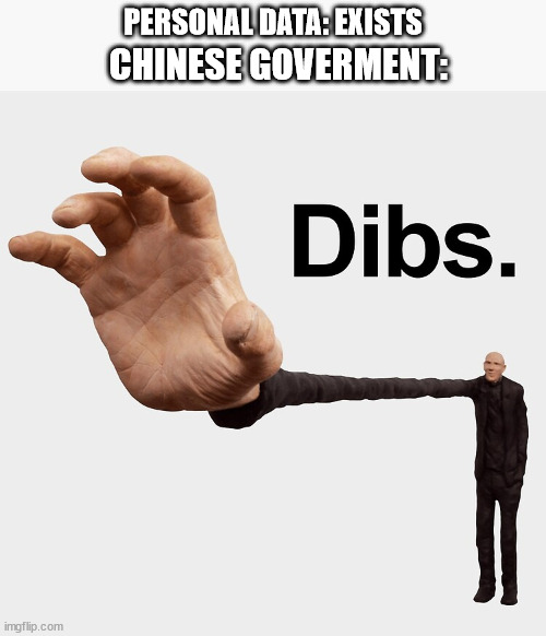 use a vpn! | PERSONAL DATA: EXISTS; CHINESE GOVERMENT: | image tagged in dibs | made w/ Imgflip meme maker