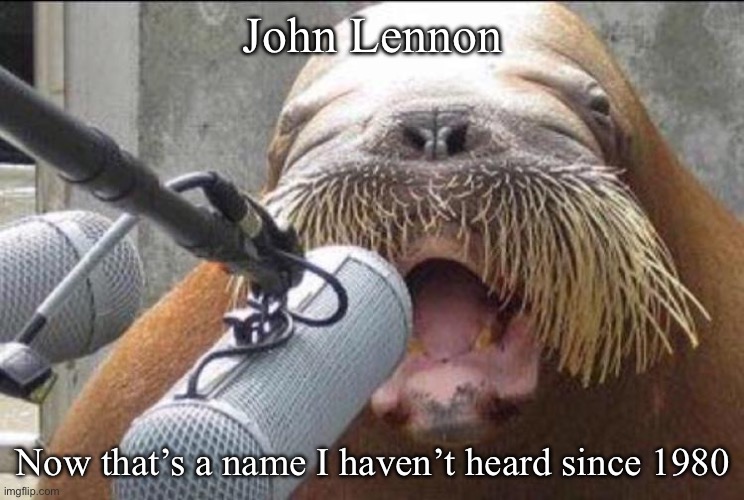 John Lennon? | John Lennon; Now that’s a name I haven’t heard since 1980 | image tagged in walrus at microphone,john lennon | made w/ Imgflip meme maker