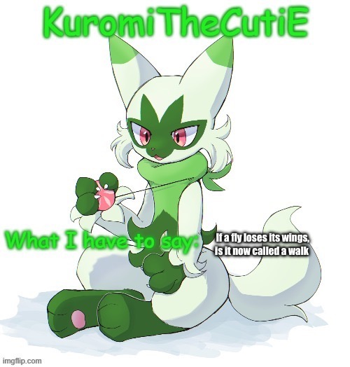Kuromithecuties floragato temp | If a fly loses its wings, is it now called a walk | image tagged in kuromithecuties floragato temp | made w/ Imgflip meme maker
