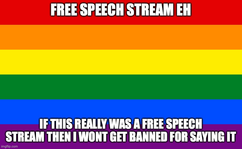 im not even liberal im actually moderate but the LGBT hate is stupid anyway free speech stream | FREE SPEECH STREAM EH; IF THIS REALLY WAS A FREE SPEECH STREAM THEN I WONT GET BANNED FOR SAYING IT | image tagged in pride flag | made w/ Imgflip meme maker