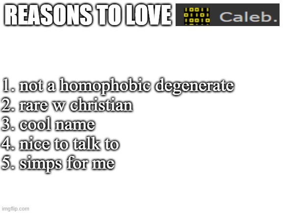 caleb was genuinely one of my first friends here. it was weird how we met but i still consider him a great friend | REASONS TO LOVE; 1. not a homophobic degenerate
2. rare w christian
3. cool name
4. nice to talk to
5. simps for me | image tagged in blank white template | made w/ Imgflip meme maker
