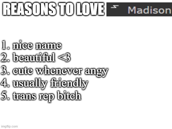Blank White Template | REASONS TO LOVE; 1. nice name
2. beautiful <3
3. cute whenever angy
4. usually friendly
5. trans rep bitch | image tagged in blank white template | made w/ Imgflip meme maker