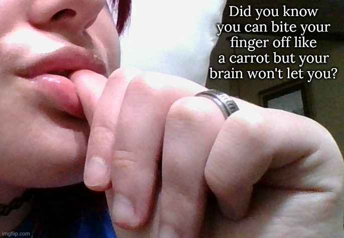 @Holidayzz | Did you know you can bite your finger off like a carrot but your brain won't let you? | image tagged in m | made w/ Imgflip meme maker