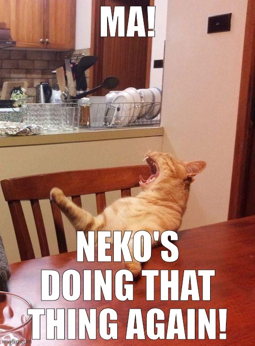 just ignore him | MA! NEKO'S DOING THAT THING AGAIN! | image tagged in cat table | made w/ Imgflip meme maker