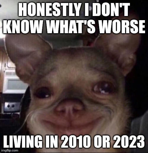 crying dog | HONESTLY I DON'T KNOW WHAT'S WORSE; LIVING IN 2010 OR 2023 | image tagged in crying dog | made w/ Imgflip meme maker