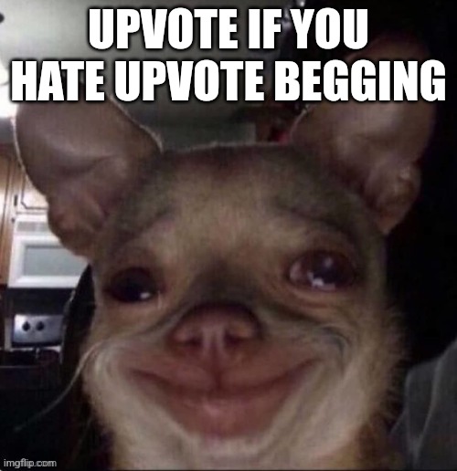 crying dog | UPVOTE IF YOU HATE UPVOTE BEGGING | image tagged in crying dog | made w/ Imgflip meme maker