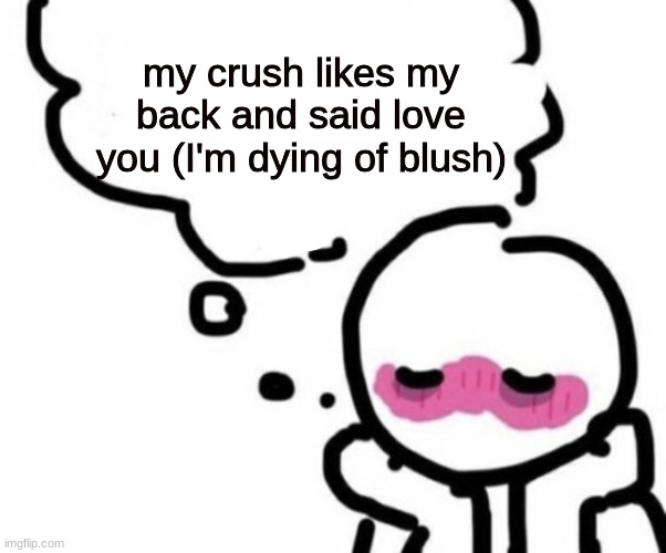 BLUSHY  BOIII | my crush likes my back and said love you (I'm dying of blush) | image tagged in blushy boiii | made w/ Imgflip meme maker