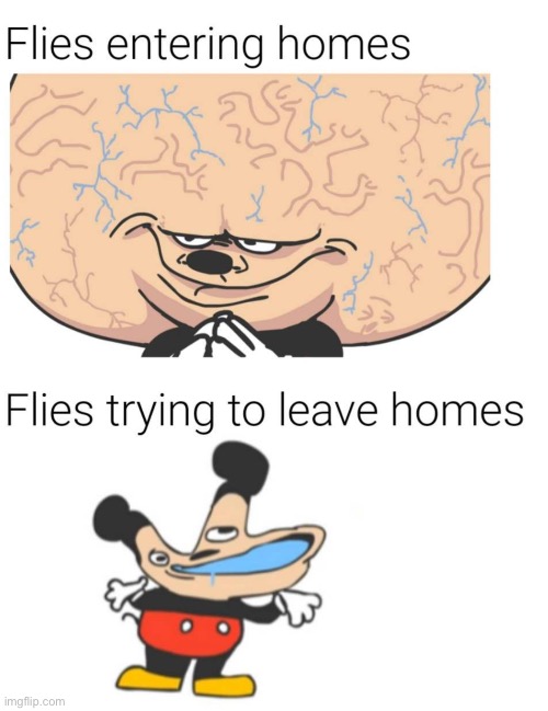 image tagged in big brain mickey | made w/ Imgflip meme maker