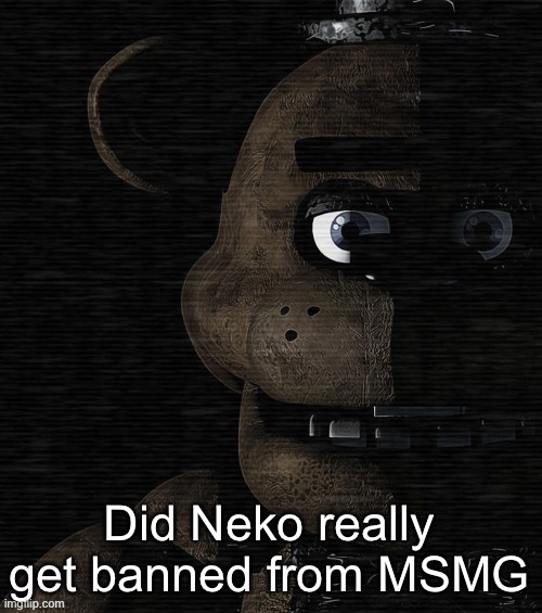 Freddy Fazbear | Did Neko really get banned from MSMG | image tagged in freddy fazbear | made w/ Imgflip meme maker