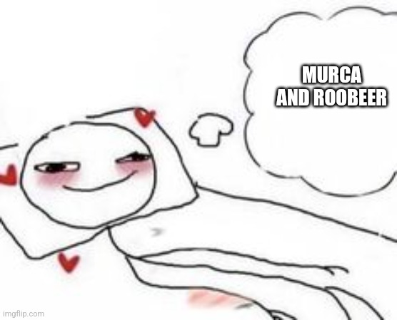Stickman in bed blushing | MURCA AND ROOBEER | image tagged in stickman in bed blushing | made w/ Imgflip meme maker