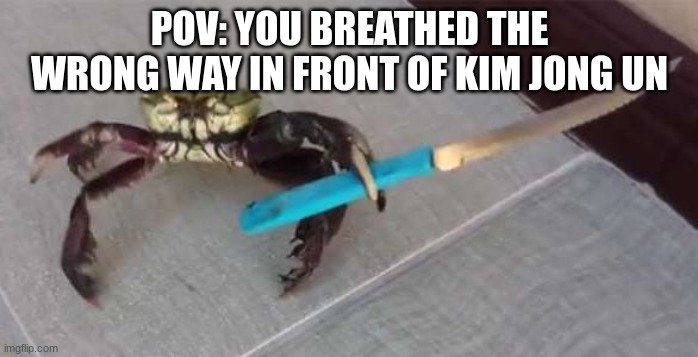 Supreme leader | POV: YOU BREATHED THE WRONG WAY IN FRONT OF KIM JONG UN | image tagged in crab with knife | made w/ Imgflip meme maker