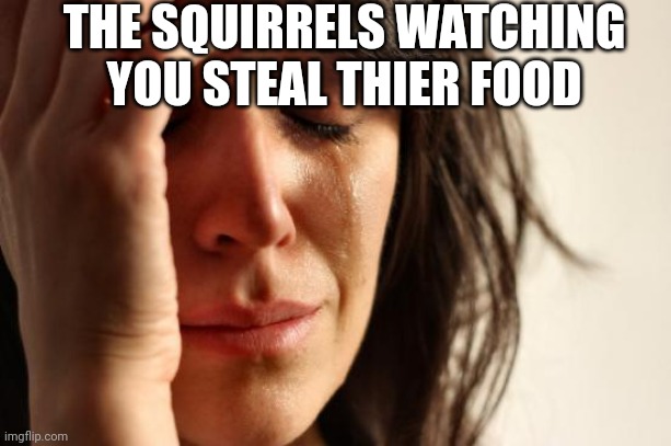 First World Problems Meme | THE SQUIRRELS WATCHING YOU STEAL THIER FOOD | image tagged in memes,first world problems | made w/ Imgflip meme maker