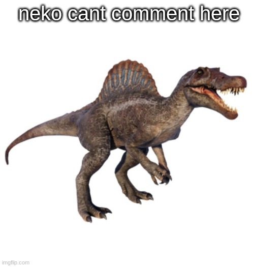 JPSpinoSaurus's other announcement temp | neko cant comment here | image tagged in jpspinosaurus's other announcement temp | made w/ Imgflip meme maker
