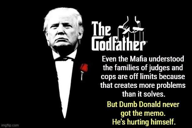 Don Trumpo Moronico | Even the Mafia understood 
the families of judges and 
cops are off limits because 
that creates more problems 
than it solves. But Dumb Donald never 
got the memo. 
He's hurting himself. | image tagged in trump mafia crime boss godfather,trump,judge,court,family,threats | made w/ Imgflip meme maker