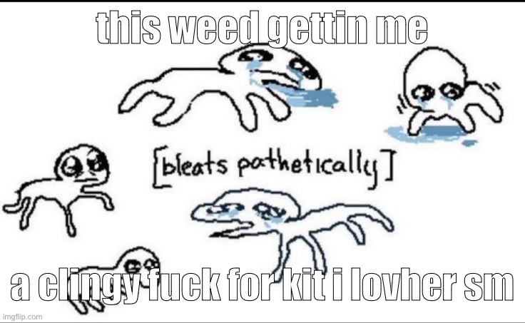she owns me im her pet dont look im being stupid rn | this weed gettin me; a clingy fuck for kit i lovher sm | image tagged in bleat lmcuz im a goat | made w/ Imgflip meme maker