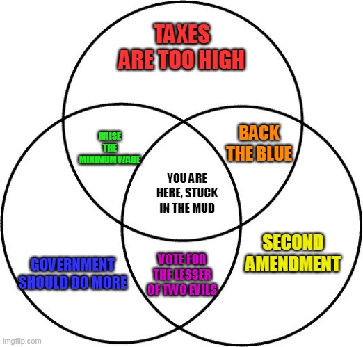 Venn diagram | TAXES ARE TOO HIGH; BACK THE BLUE; RAISE THE MINIMUM WAGE; YOU ARE HERE, STUCK IN THE MUD; GOVERNMENT SHOULD DO MORE; SECOND AMENDMENT; VOTE FOR THE LESSER OF TWO EVILS | image tagged in venn diagram | made w/ Imgflip meme maker