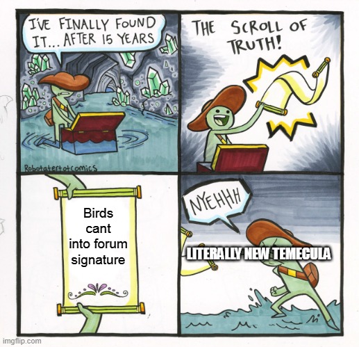 because its a bird said New Temecula | Birds cant into forum signature; LITERALLY NEW TEMECULA | image tagged in memes,the scroll of truth | made w/ Imgflip meme maker