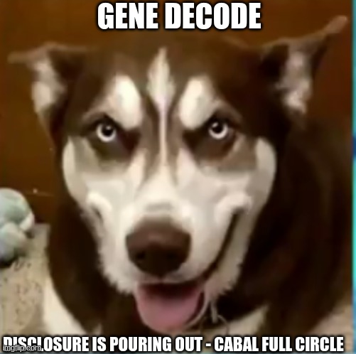 Gene Decode: Disclosure Is Pouring Out - Cabal Full Circle  (Video) 