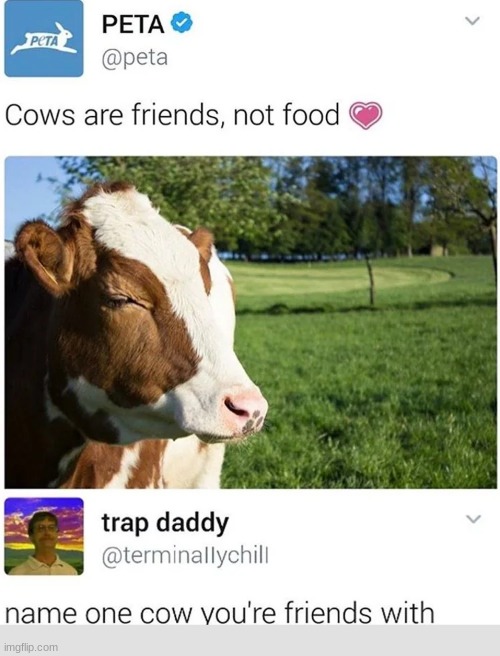 PETA getting roasted | image tagged in memes,funny,insults,peta,twitter | made w/ Imgflip meme maker