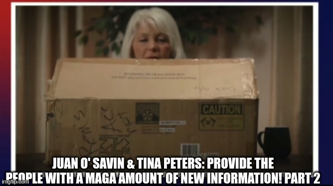 Juan O' Savin & Tina Peters: Provide the People With a MAGA Amount of New Information! Part 2 (Video) 