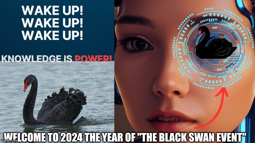 Welcome to 2024 The Year of "The Black Swan Event"  (Video) 