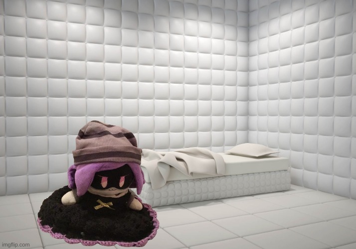 Rubber Room | image tagged in rubber room | made w/ Imgflip meme maker