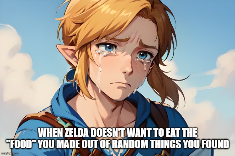 Sad Link | WHEN ZELDA DOESN'T WANT TO EAT THE "FOOD" YOU MADE OUT OF RANDOM THINGS YOU FOUND | image tagged in zelda,botw,totk,link,crying | made w/ Imgflip meme maker