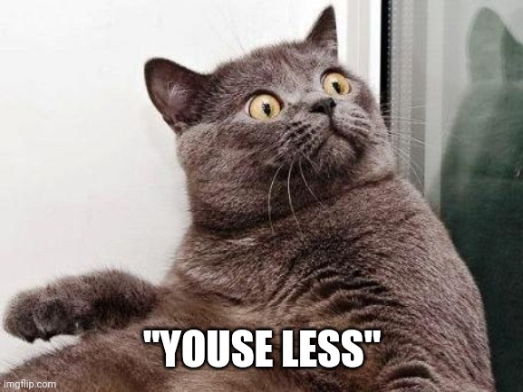 Surprised cat | "YOUSE LESS" | image tagged in surprised cat | made w/ Imgflip meme maker