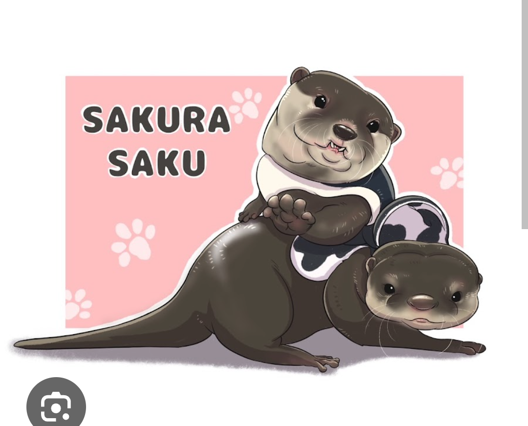 Sakura Saku Channel OtterPedia Wiki Fandom Blank Meme Template