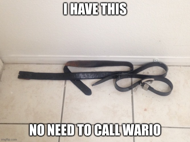 Belt-Action sniper rifle | I HAVE THIS NO NEED TO CALL WARIO | image tagged in belt-action sniper rifle | made w/ Imgflip meme maker