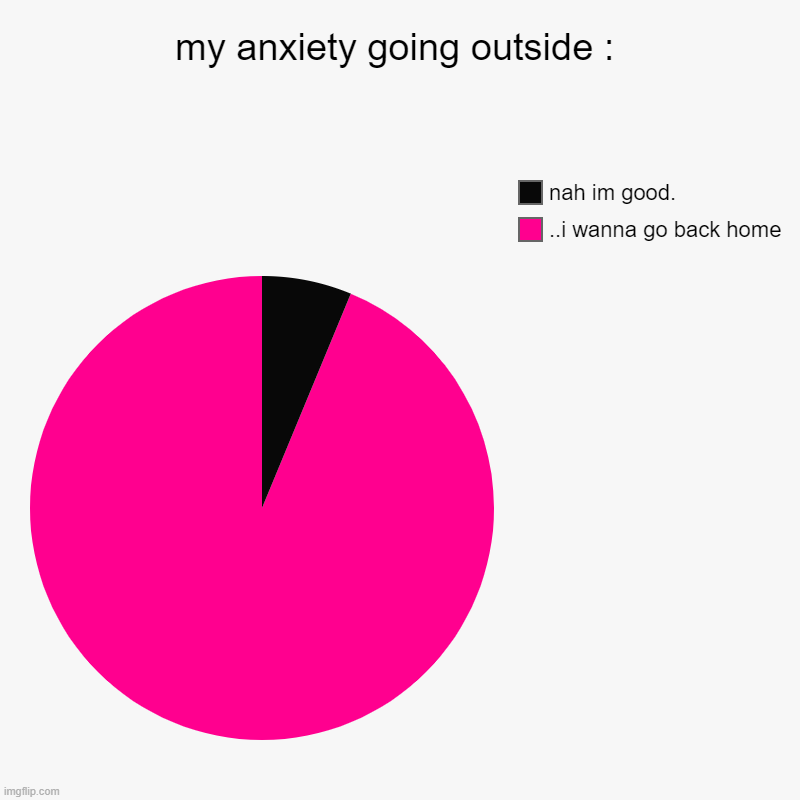 fr fr | my anxiety going outside : | ..i wanna go back home, nah im good. | image tagged in charts,pie charts | made w/ Imgflip chart maker