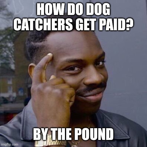 Thinking Black Guy | HOW DO DOG CATCHERS GET PAID? BY THE POUND | image tagged in thinking black guy | made w/ Imgflip meme maker