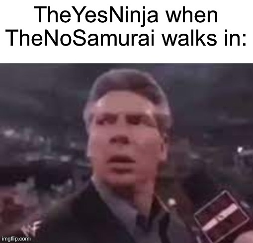 Might as well do this too | TheYesNinja when TheNoSamurai walks in: | image tagged in x when x walks in | made w/ Imgflip meme maker