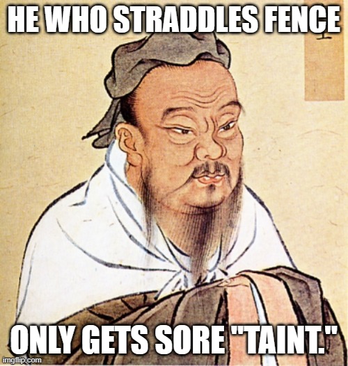 Confucius Says | HE WHO STRADDLES FENCE ONLY GETS SORE "TAINT." | image tagged in confucius says | made w/ Imgflip meme maker