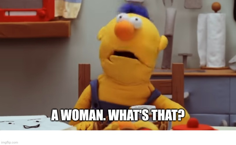 Where we are today. | A WOMAN. WHAT'S THAT? | image tagged in blank white template,gender identity,women,confused,yellow | made w/ Imgflip meme maker