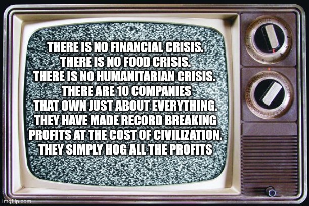 Static tv | THERE IS NO FINANCIAL CRISIS.
 THERE IS NO FOOD CRISIS. 
THERE IS NO HUMANITARIAN CRISIS. 
 THERE ARE 10 COMPANIES THAT OWN JUST ABOUT EVERYTHING. THEY HAVE MADE RECORD BREAKING PROFITS AT THE COST OF CIVILIZATION.
 THEY SIMPLY HOG ALL THE PROFITS | image tagged in static tv,funny memes | made w/ Imgflip meme maker