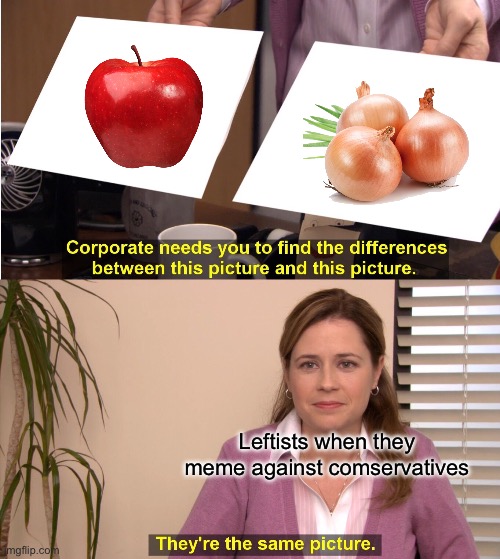 They're The Same Picture | Leftists when they meme against conservatives | image tagged in memes,they're the same picture | made w/ Imgflip meme maker
