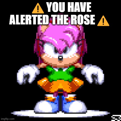 You Have Alerted The Rose | ⚠️YOU HAVE ALERTED THE ROSE⚠️ | image tagged in amy rose | made w/ Imgflip meme maker