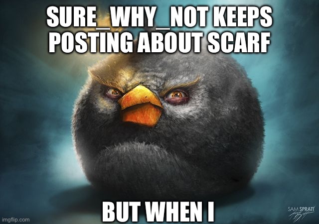 angry birds bomb | SURE_WHY_NOT KEEPS POSTING ABOUT SCARF; BUT WHEN I | image tagged in angry birds bomb | made w/ Imgflip meme maker
