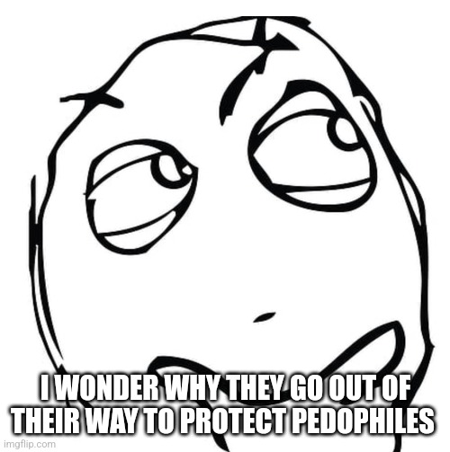 i wonder | I WONDER WHY THEY GO OUT OF THEIR WAY TO PROTECT PEDOPHILES | image tagged in i wonder | made w/ Imgflip meme maker