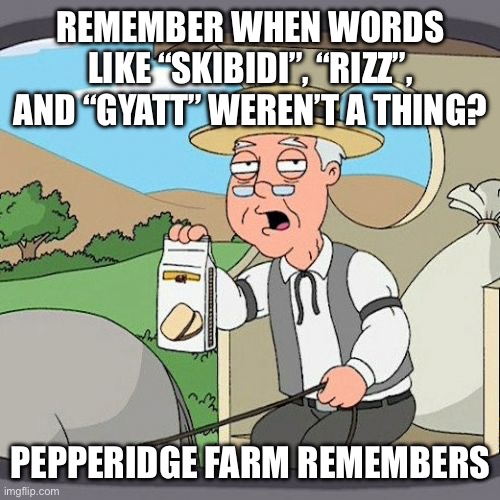 I miss the 2010s | REMEMBER WHEN WORDS LIKE “SKIBIDI”, “RIZZ”, AND “GYATT” WEREN’T A THING? PEPPERIDGE FARM REMEMBERS | image tagged in memes,pepperidge farm remembers | made w/ Imgflip meme maker