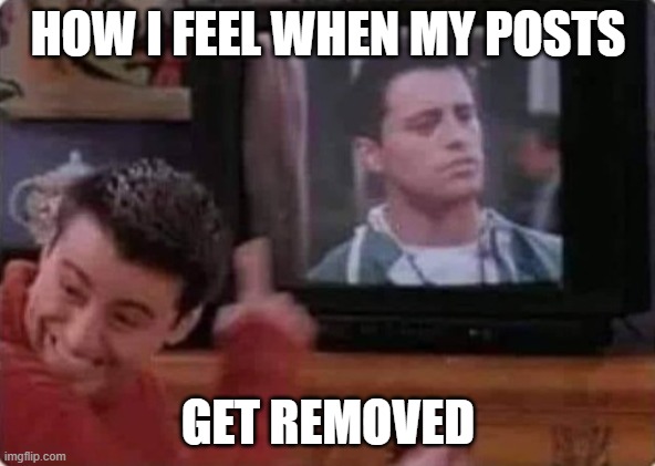 Pride Minute | HOW I FEEL WHEN MY POSTS; GET REMOVED | image tagged in pride,wholesome content,tos,suspension,social media | made w/ Imgflip meme maker