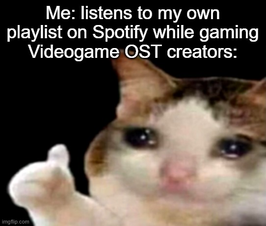 sigma meal skibidi slicers | Me: listens to my own playlist on Spotify while gaming
Videogame OST creators: | image tagged in sad cat thumbs up,spotify,music,gaming,sad,memes | made w/ Imgflip meme maker