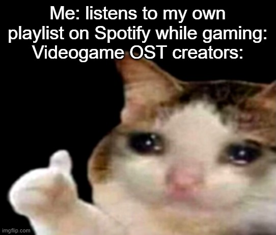 my playlists are mostly edm and pop but have some songs from games | Me: listens to my own playlist on Spotify while gaming:
Videogame OST creators: | image tagged in sad cat thumbs up,memes,music,gaming,sad,spotify | made w/ Imgflip meme maker