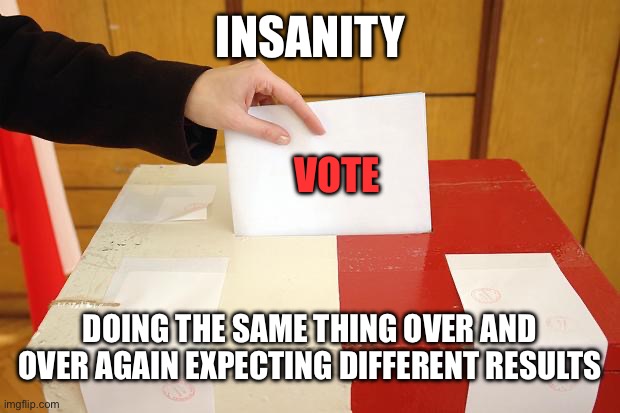 What a scam | INSANITY; VOTE; DOING THE SAME THING OVER AND OVER AGAIN EXPECTING DIFFERENT RESULTS | image tagged in vote | made w/ Imgflip meme maker