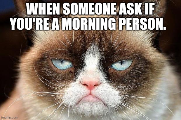 Anyone feel this way ? | WHEN SOMEONE ASK IF YOU'RE A MORNING PERSON. | image tagged in memes,grumpy cat not amused,grumpy cat | made w/ Imgflip meme maker