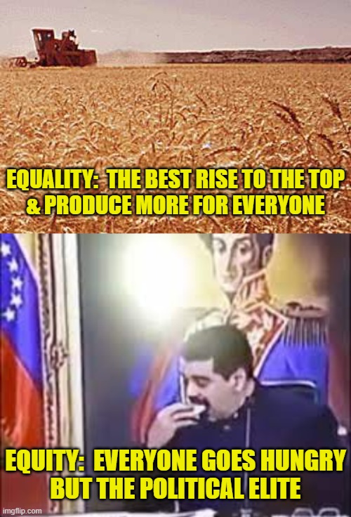 Spread the poverty | EQUALITY:  THE BEST RISE TO THE TOP
& PRODUCE MORE FOR EVERYONE; EQUITY:  EVERYONE GOES HUNGRY
BUT THE POLITICAL ELITE | image tagged in leftists | made w/ Imgflip meme maker
